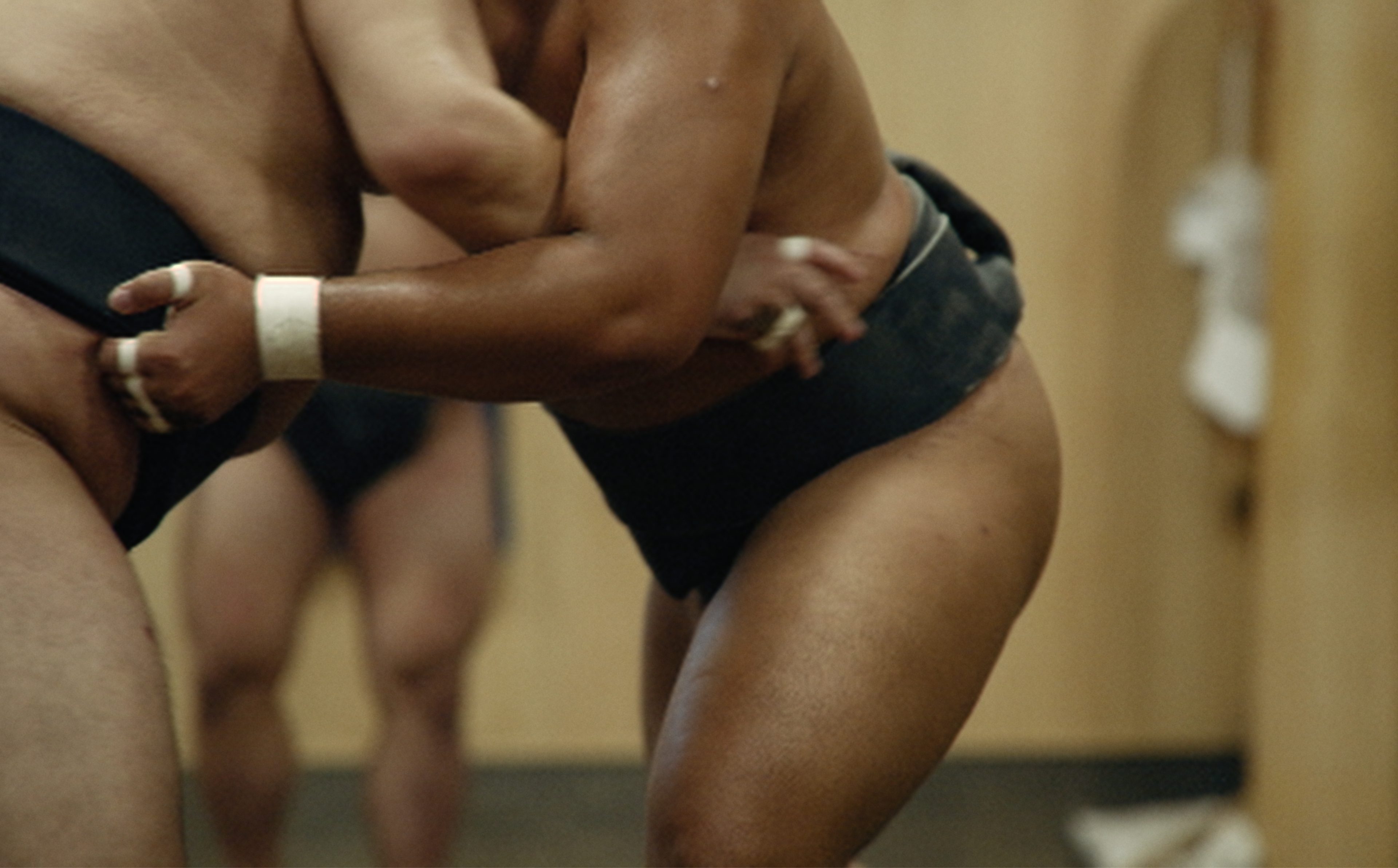 相撲部屋 朝稽古貸切見学