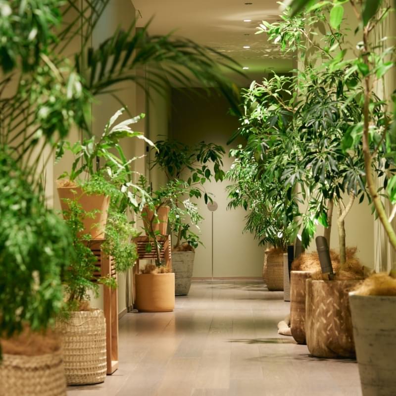 ふふ 東京 銀座